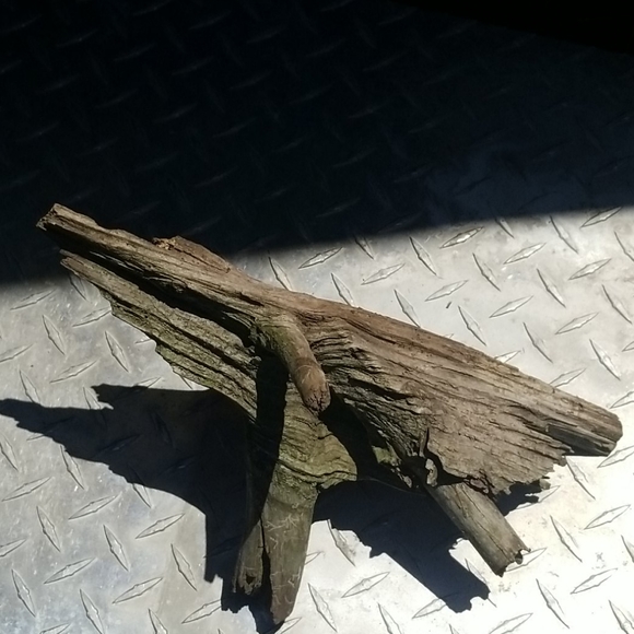 Drift Wood - Picture 2 of 5